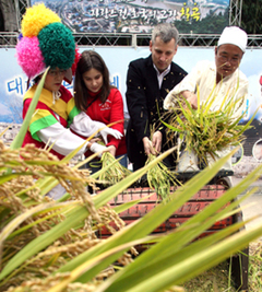 Foreigners enjoy a harvest event in Insadong, Seoul, on Oct. 17. The event was hosted by Chilgok County Office of the North Gyeongsang Provnice.