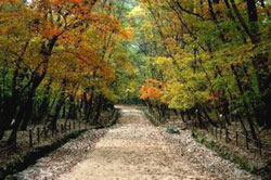 Gwangneung promenade.