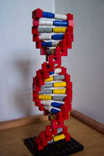 DNA shaped Lego blocks.