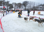 Daegwallyeong Snow Festival