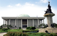 The National Assembly