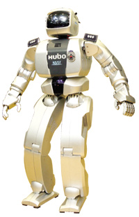 A human-like robot, HUBO