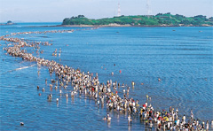 Wondrous sea parting near Jindo