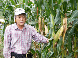 Kim Soon-kwon (Dr. Corn): As head of the International Corn Foundation (ICF), Dr. Kim oversaw the development of Super Corn, a cereal engineered to provide bigger yields. In 1998, the ICF transferred super corn seeds to North Korea and began working with their researchers to find new ways to help alleviate chronic food shortages there.