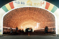 The previous firefly festival: tunnel of fireflies