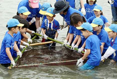 West Sea (Yeollow Sea) Fishing Event
