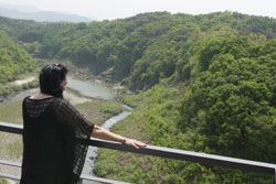 A bird's eye view of demilitarized zone