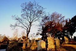 Yanghwajin Cemetery in Mapo-gu, Seoul
