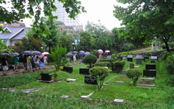 A group tour to Yanghwajin continues regardless of the weather