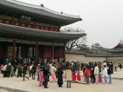 People gathered at Changgyeongung Palace