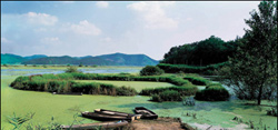 Upo Wetland at Changnyeong-gun County of Gyeongsangbuk-do (North Gyeongsang Province) (Photo: Dong-A DB)