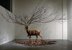 Deer by Kim Myeong-beom at Avenuel Gallery