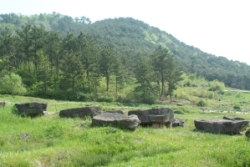 Gochang dolmens