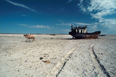 The photos are beautiful and also thought-provoking.