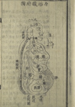 Drawing of the internal organs of human body in Dong-uibogam (Photo: The Cultural Heritage Administration)