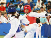 World Taekwondo Culture Expo 