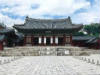 Changgyeonggung (Changgyeong Palace) Picnic