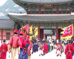 Gyeongbokgung Palace Activities