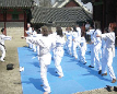 Gyeonghuigung Taekwondo Experience