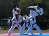 Seoul Taekwondo Tour Program