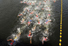 International Triathlon Competition in Songdo Central Park