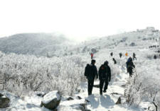 Winter wonderland at Taebaeksan Mountain