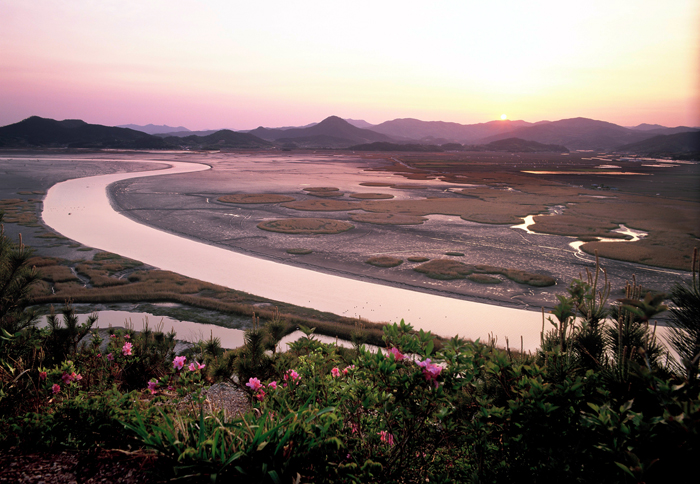 Boasting Korea’s largest reed fields and endless tidal plains, Suncheon Bay has become one of the country’s best-loved eco-friendly tourism destinations (photo courtesy of Suncheon City).