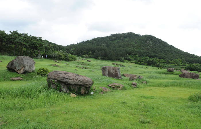 Gochang County in Jeollabuk-do is famous for its largest number of dolmens (photo: Gochang County).