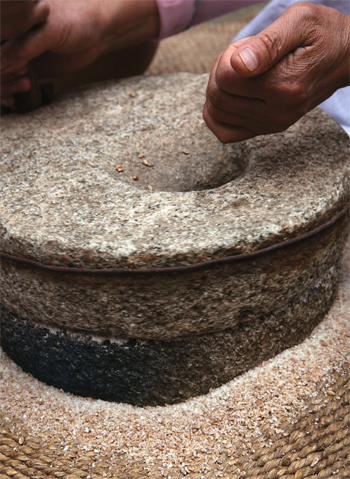 Whole grain wheat is ground in a millstone.