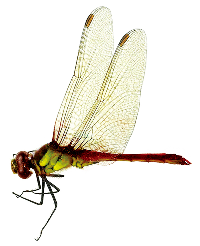 140203_korean_nature1.jpg
