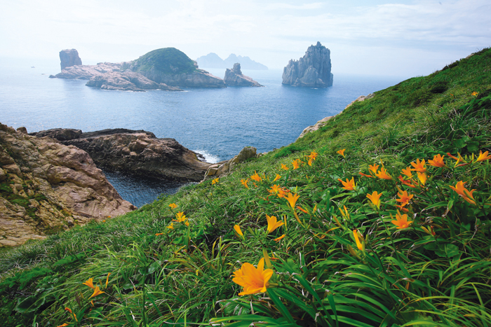 A day lily begins to bloom on one of the Baekdo Islands.