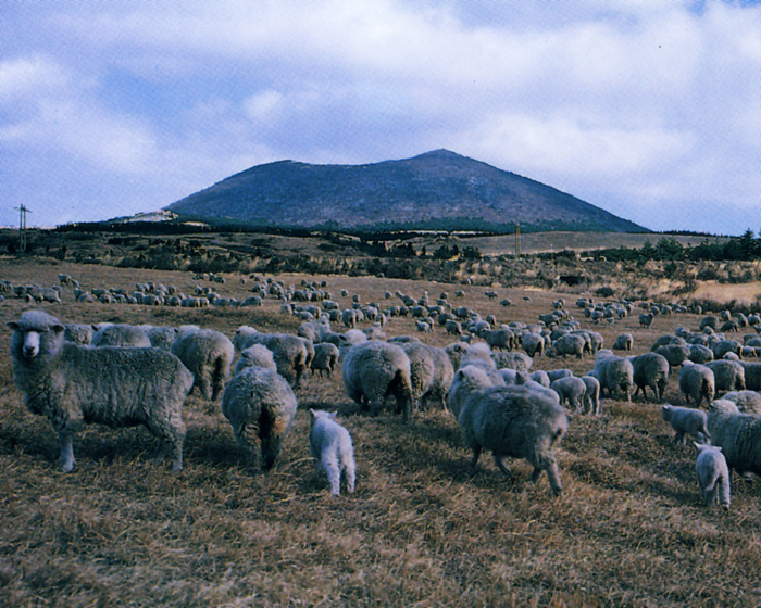 Isidore Farm in the 1970s
