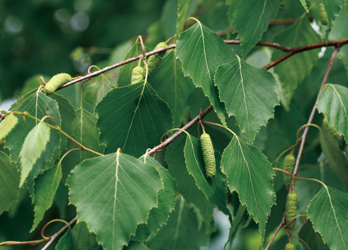 140522_korea_nature_22.jpg