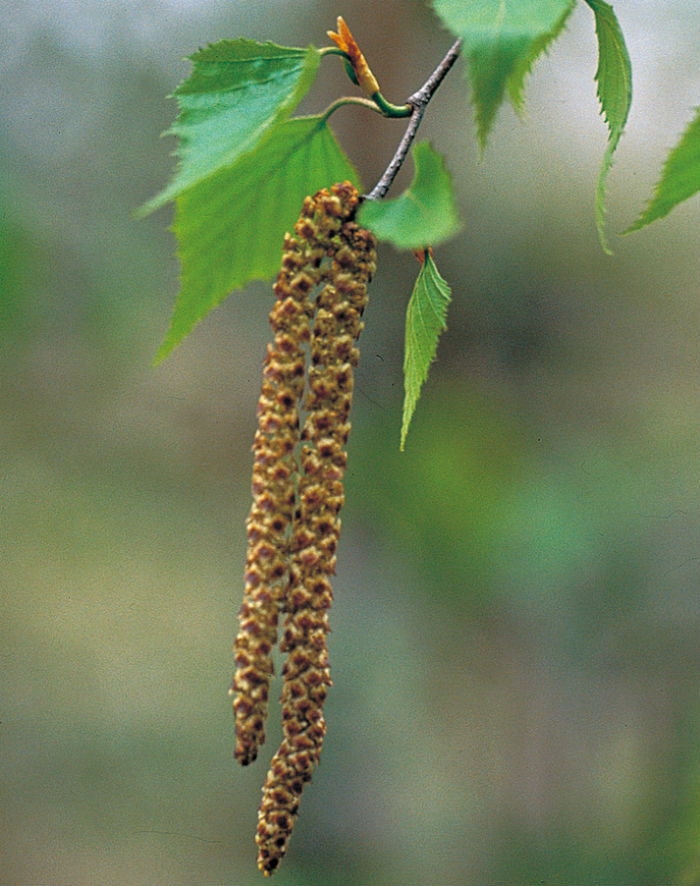 140522_korea_nature_222.jpg