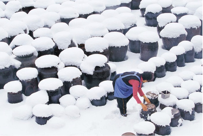 A winter scene of traditional urns, covered in snow, storing a variety of fermented and fermenting foods. 