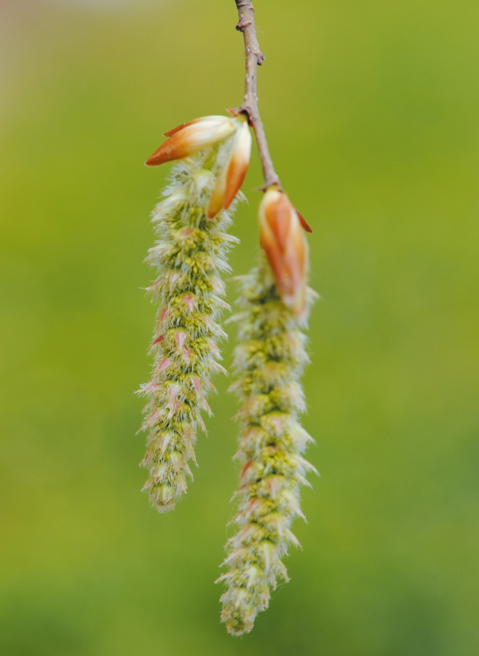 140605_korea_nature_22.jpg