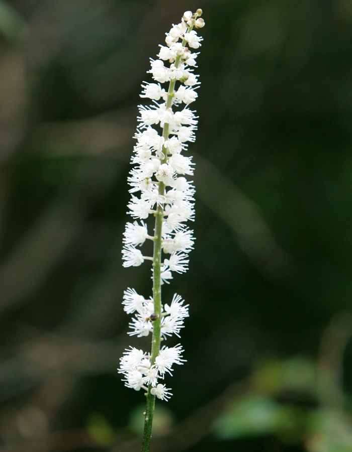 140605_korea_nature_444.jpg