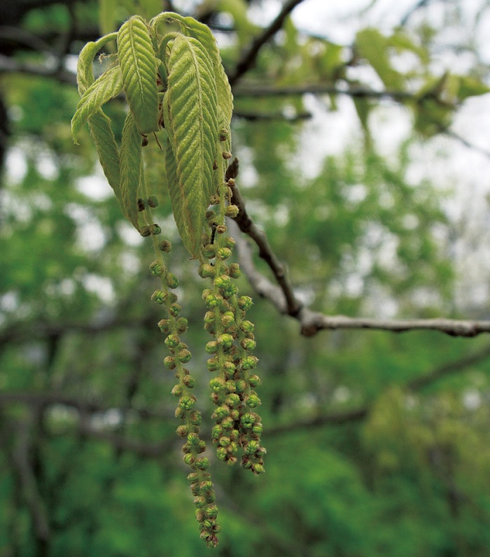 140716_korea_nature_22.jpg