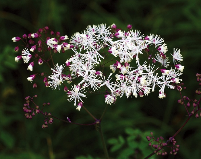 140716_korea_nature_44.jpg