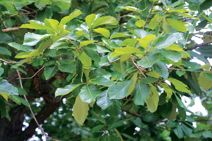 140724_korea_nature_2.jpg