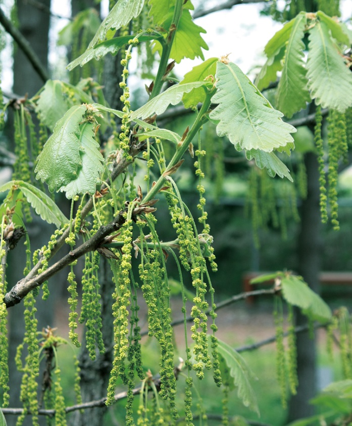 140806_korea_nature_222.jpg