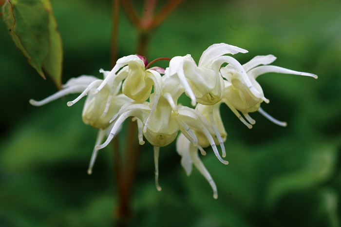 140806_korea_nature_444.jpg