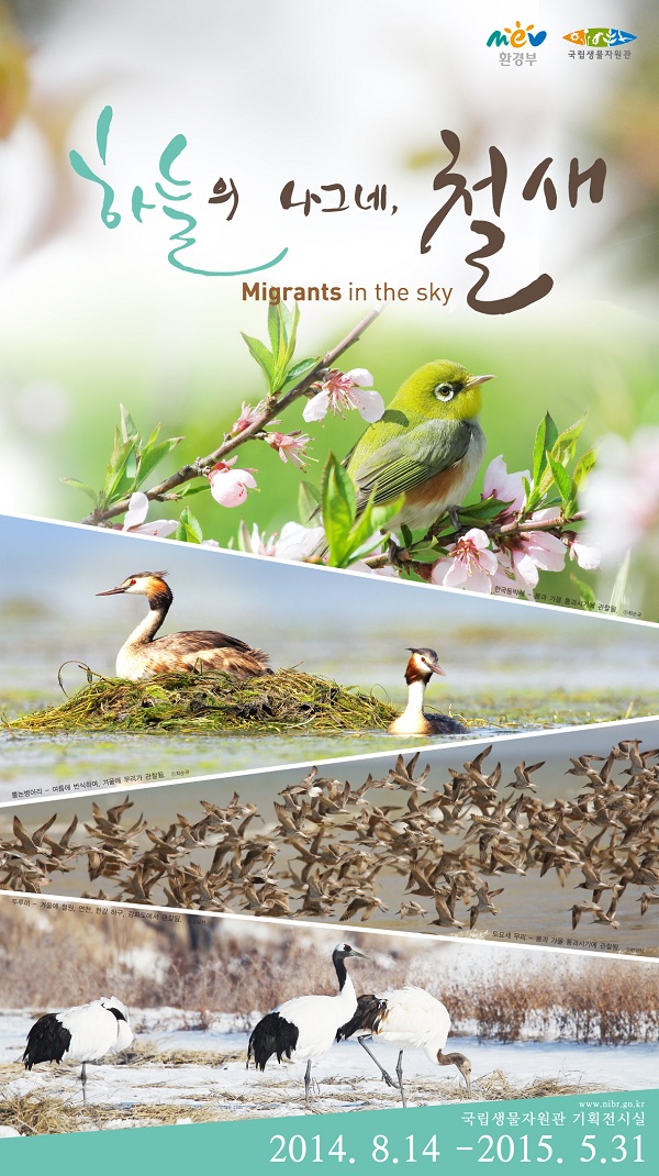 Poster of the exhibition Migrants in the Sky