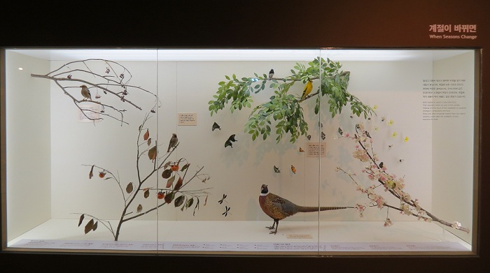 A special exhibition themed on migratory birds is taking place at the NIBR in Incheon from August 14. (photo courtesy of NIBR)