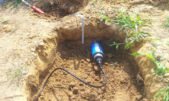 A soil moisture detector is set up underground.