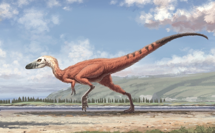 An artist’s impression of a Minisauripus. (Wang Zifeng)