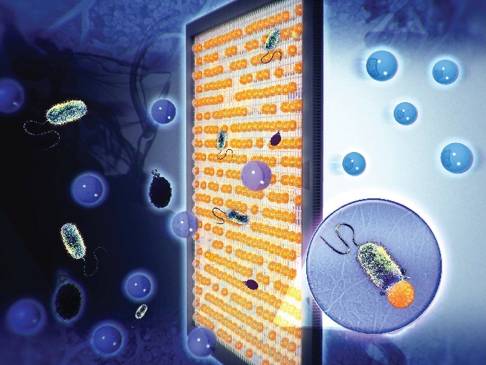 An air filter system coated with silver nanoparticles (yellow) eradicates bacteria upon contact, supplying clean air (right). (photo courtesy of the Ministry of Science, ICT and Future Planning)