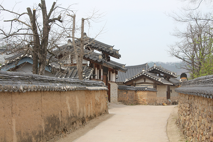Hanok homes, both with <i>giwa</i> roof tiles and thatched roofs, are in harmony with the short yet neat stone walls of the Hahoe Village.