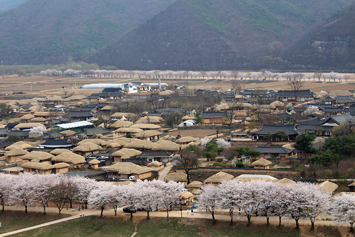 The Hahoe Village in Andong, Gyeongsangbuk-do Province, is one of the few areas around the country that still upholds the traditional shape of Confucian towns and society. A bird's eye view of the Hahoe Village can be seen from the Buyongdae Cliffs (부용대, 芙蓉臺).