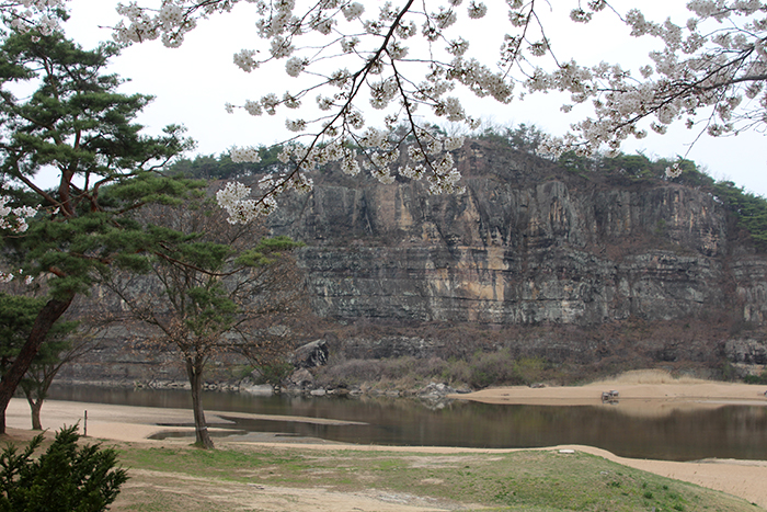 The Buyongdae Cliffs can be seen from the Hahoe Village. These cliffs were formed as the Nakdonggang River eroded away the land over the centuries. If you climb to the top of the cliffs, sightseers can get a bird's eye view of the whole village.